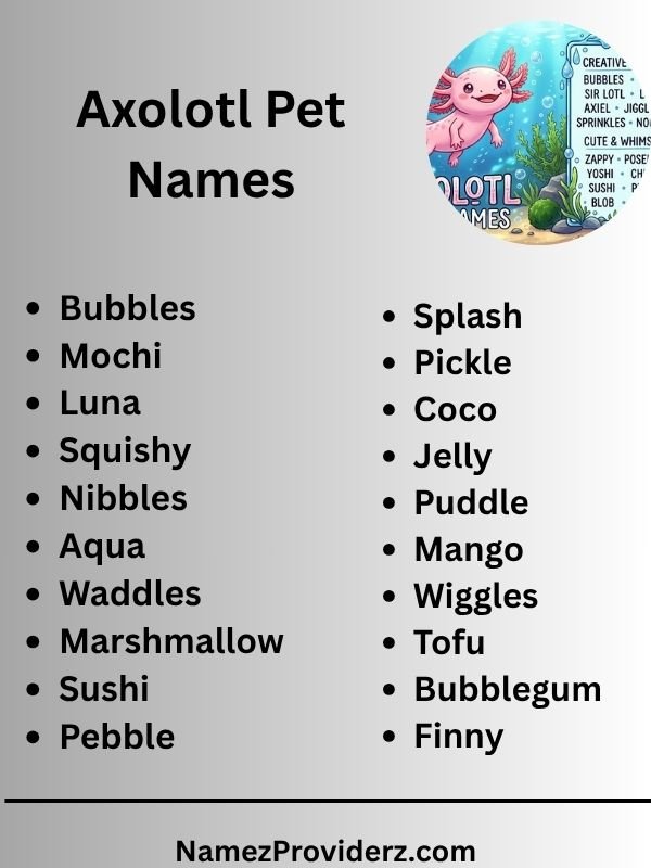 Axolotl Pet Names