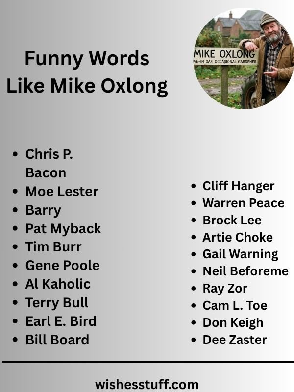 Funny Words Like Mike Oxlong