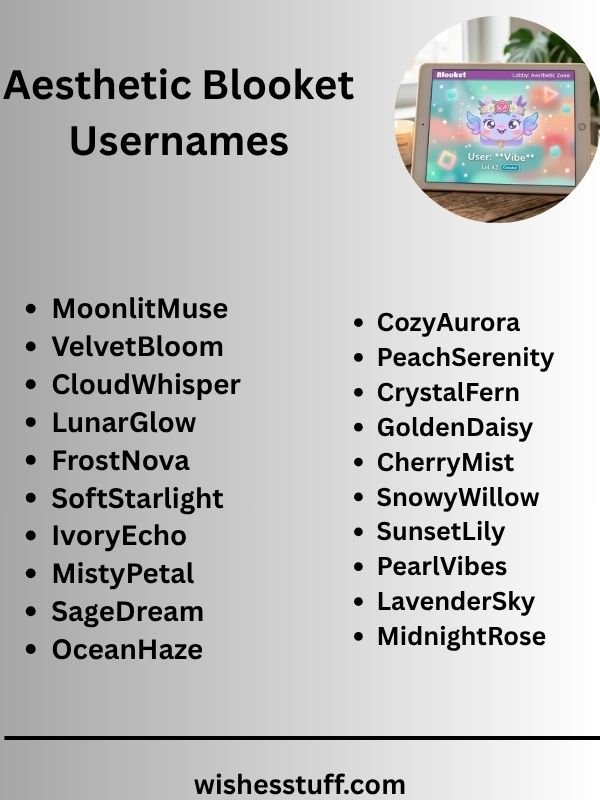 Aesthetic Blooket Usernames