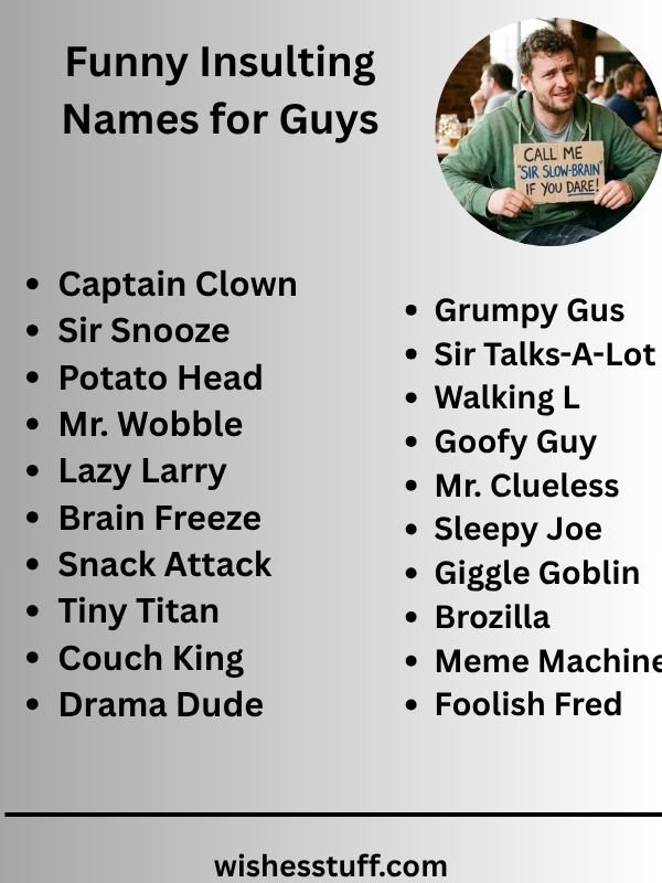 Funny Insulting Names for Guys