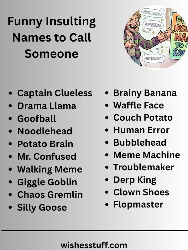 Funny Insulting Names to Call Someone