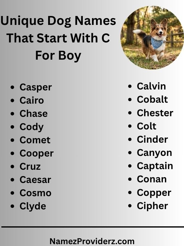 Unique Dog Names That Start With C For Boy