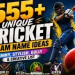 555+ Unique Cricket Team Name Ideas: Funny, Stylish, Gully & Creative List