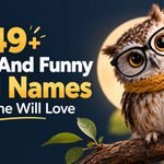 349 Cute And Funny Owl Names Everyone Will Love