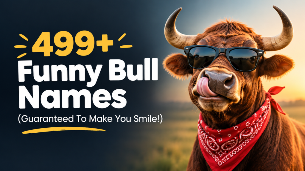 499+ Funny Bull Names (Guaranteed To Make You Smile!)