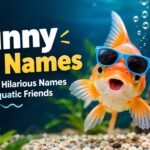 Funny Fish Names: A Guide To Hilarious Names For Your Aquatic Friends